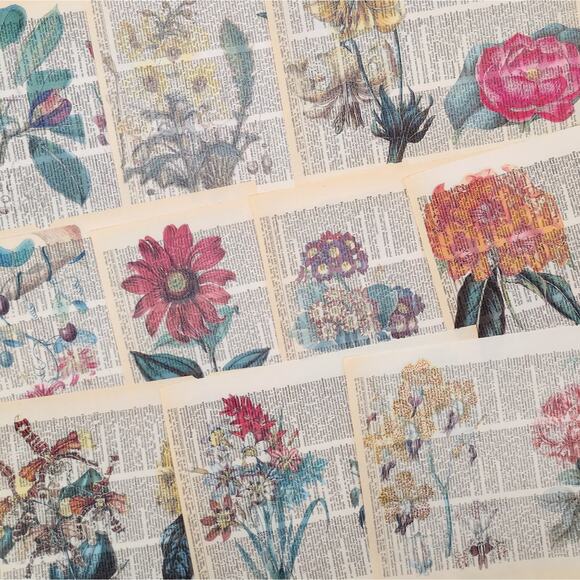 Flower Dictionary Prints 2, Colorful Floral Prints, Book Page Prints - Picture 1 of 6